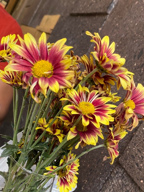 rick26 OnlyFans - Free Access to 32 Videos & 49 Photos Onlyfans Free Access