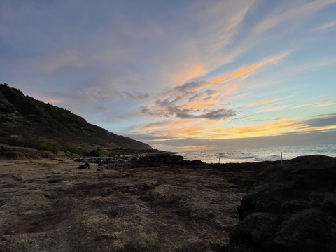 riley_alexis OnlyFans - Free Access to 32 Videos & 49 Photos Onlyfans Free Access