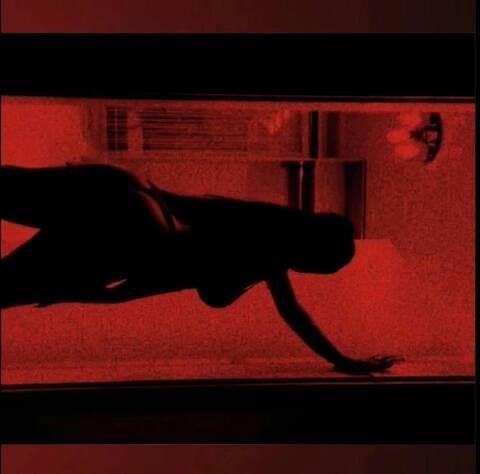 rileyreidx1 OnlyFans - Free Access to 32 Videos & 49 Photos Onlyfans Free Access