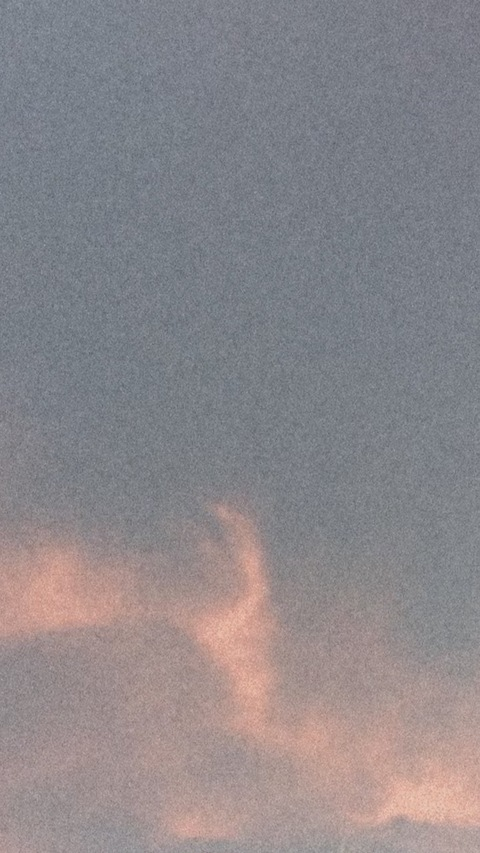 risssaaxox OnlyFans - Free Access to 32 Videos & 49 Photos Onlyfans Free Access