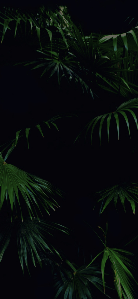 robbbb69 OnlyFans - Free Access to 32 Videos & 49 Photos Onlyfans Free Access