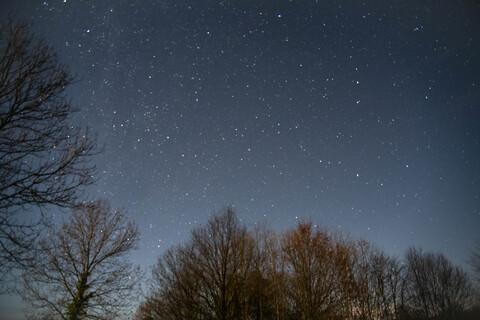 robg1997 OnlyFans - Free Access to 32 Videos & 49 Photos Onlyfans Free Access