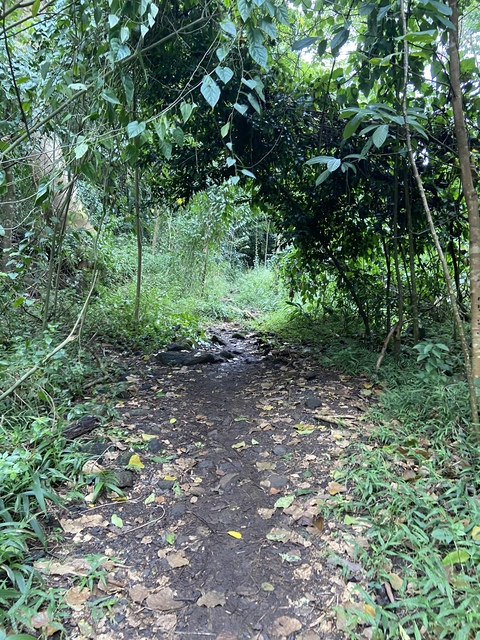 rodzzz06 OnlyFans - Free Access to 32 Videos & 49 Photos Onlyfans Free Access