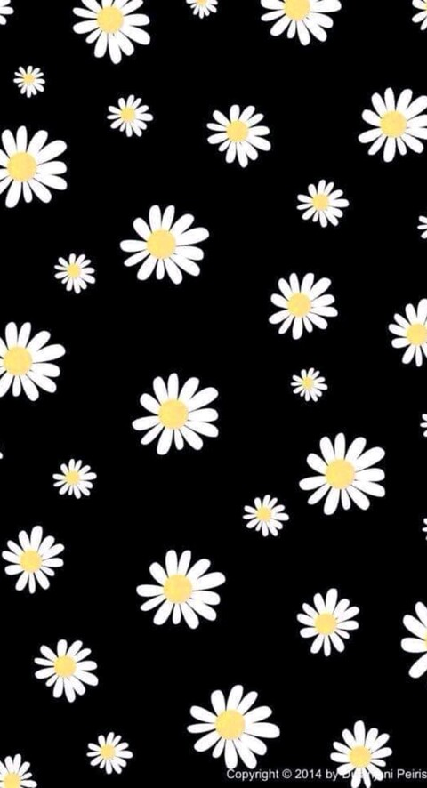 rosariog OnlyFans - Free Access to 32 Videos & 49 Photos Onlyfans Free Access