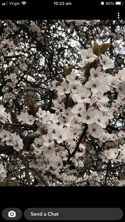 rosebudbiker OnlyFans - Free Access to 48 Videos & 331 Photos Onlyfans Free Access