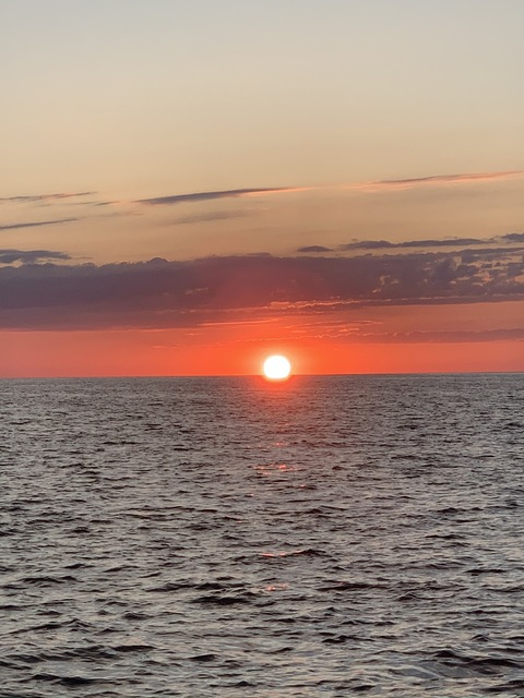 roseyredd OnlyFans - Free Access to 32 Videos & 60 Photos Onlyfans Free Access