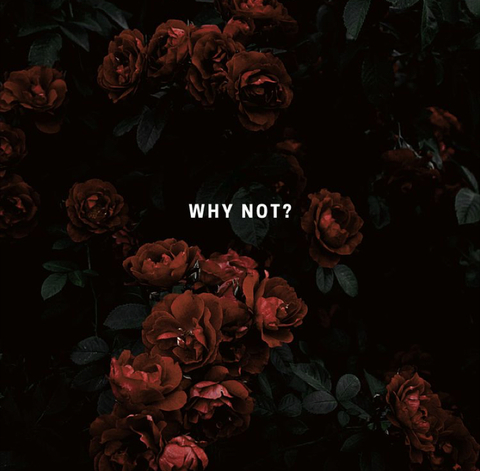 rosieposie4u OnlyFans - Free Access to 32 Videos & 49 Photos Onlyfans Free Access