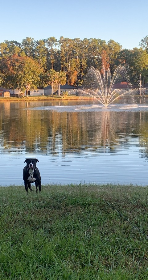 rummyrumrum OnlyFans - Free Access to 32 Videos & 49 Photos Onlyfans Free Access