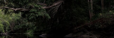 sademogirll OnlyFans - Free Access to 32 Videos & 49 Photos Onlyfans Free Access