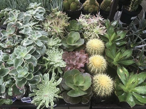 sadiex OnlyFans - Free Access to 32 Videos & 49 Photos Onlyfans Free Access