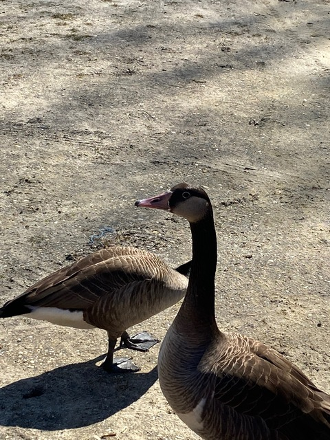 saintkatwitchhazel OnlyFans - Free Access to 32 Videos & 49 Photos Onlyfans Free Access