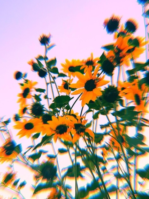 salembarbie OnlyFans - Free Access to 32 Videos & 49 Photos Onlyfans Free Access