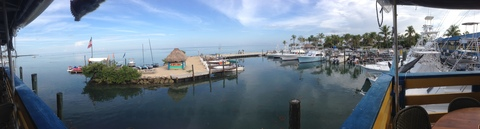 saltyfish OnlyFans - Free Access to 32 Videos & 49 Photos Onlyfans Free Access