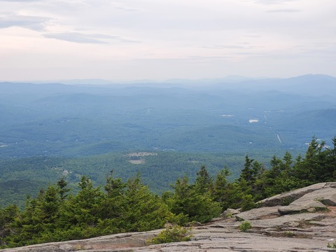 saltyfoxx OnlyFans - Free Access to 32 Videos & 49 Photos Onlyfans Free Access