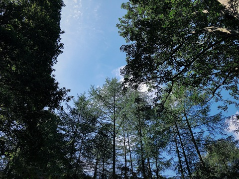 samara_xo OnlyFans - Free Access to 32 Videos & 49 Photos Onlyfans Free Access