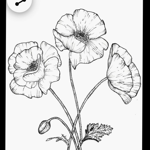 samcomeswithham OnlyFans - Free Access to 32 Videos & 49 Photos Onlyfans Free Access