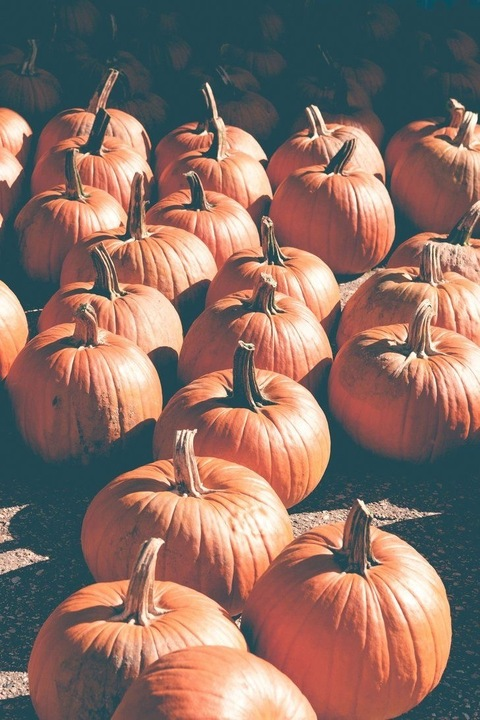 sarah.gaffney01 OnlyFans - Free Access to 32 Videos & 59 Photos Onlyfans Free Access