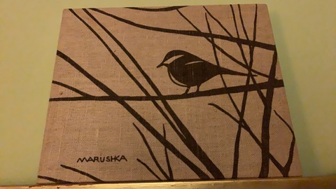 sashadollofficial OnlyFans - Free Access to 32 Videos & 73 Photos Onlyfans Free Access