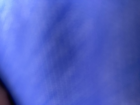 sassykat22 OnlyFans - Free Access to 32 Videos & 49 Photos Onlyfans Free Access