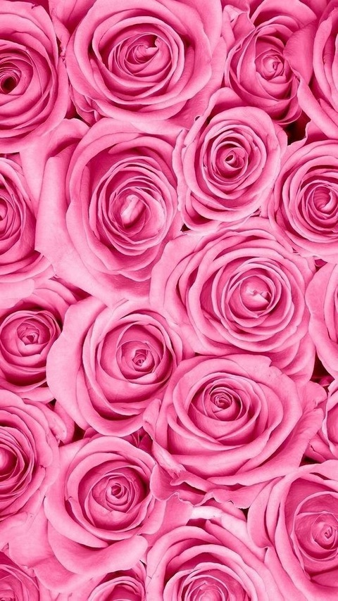 sassysnoozie OnlyFans - Free Access to 32 Videos & 69 Photos Onlyfans Free Access