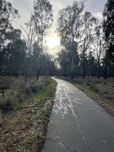 saucyme09 OnlyFans - Free Access to 32 Videos & 49 Photos Onlyfans Free Access