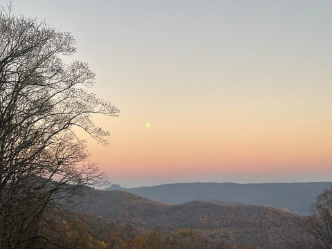 savvy_honey OnlyFans - Free Access to 32 Videos & 49 Photos Onlyfans Free Access