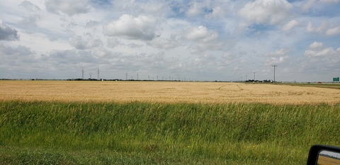 sawedoff17 OnlyFans - Free Access to 32 Videos & 49 Photos Onlyfans Free Access