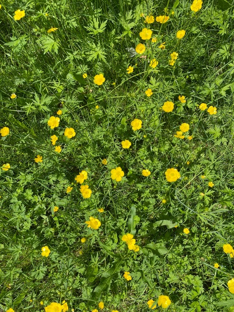 scadrello OnlyFans - Free Access to 32 Videos & 49 Photos Onlyfans Free Access