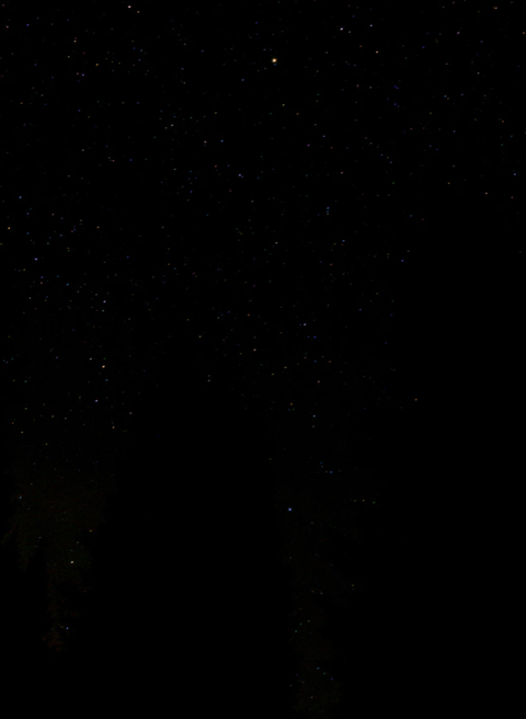 scar.lettt OnlyFans - Free Access to 32 Videos & 49 Photos Onlyfans Free Access