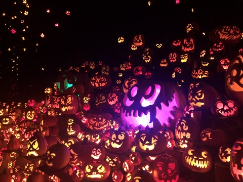 scarlettblair OnlyFans - Free Access to 32 Videos & 49 Photos Onlyfans Free Access