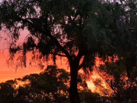 scarlettejunee OnlyFans - Free Access to 32 Videos & 49 Photos Onlyfans Free Access