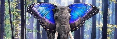 scottyjohn1 OnlyFans - Free Access to 32 Videos & 49 Photos Onlyfans Free Access