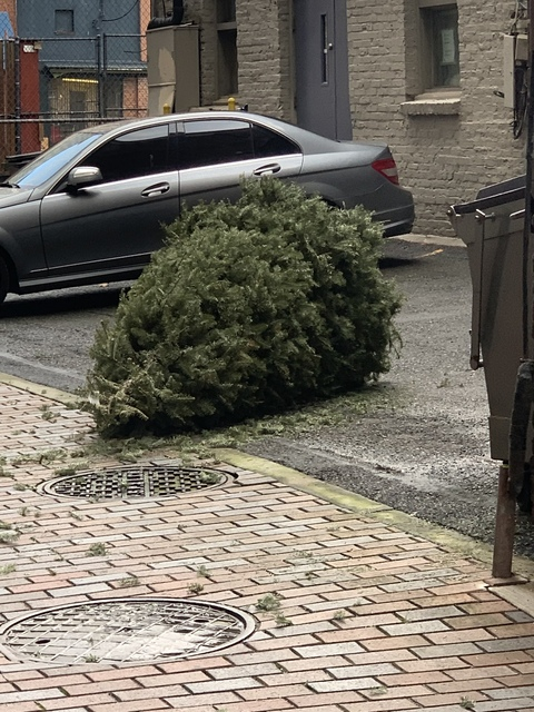 seattlekitten OnlyFans - Free Access to 32 Videos & 49 Photos Onlyfans Free Access