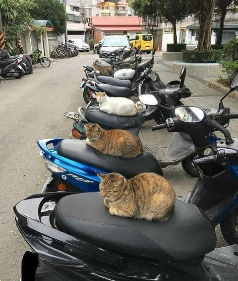 secrethusbandx OnlyFans - Free Access to 32 Videos & 49 Photos Onlyfans Free Access