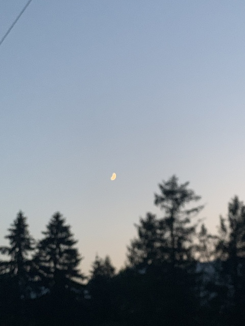 segodnyai OnlyFans - Free Access to 32 Videos & 67 Photos Onlyfans Free Access