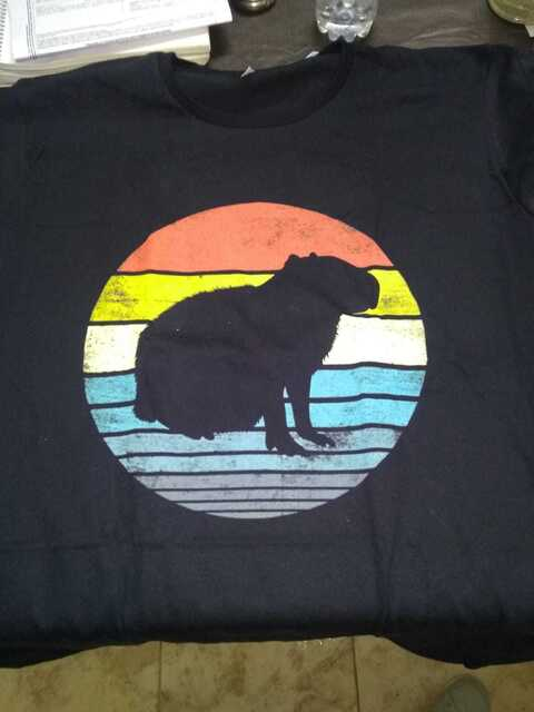 selenasbedroom OnlyFans - Free Access to 32 Videos & 49 Photos Onlyfans Free Access