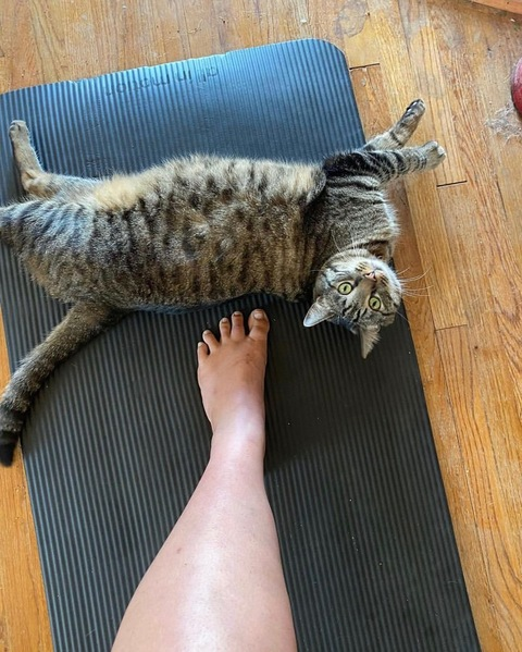 sendwine OnlyFans - Free Access to 32 Videos & 49 Photos Onlyfans Free Access