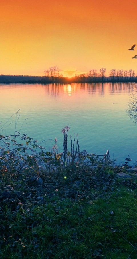 sexyash.23 OnlyFans - Free Access to 32 Videos & 49 Photos Onlyfans Free Access