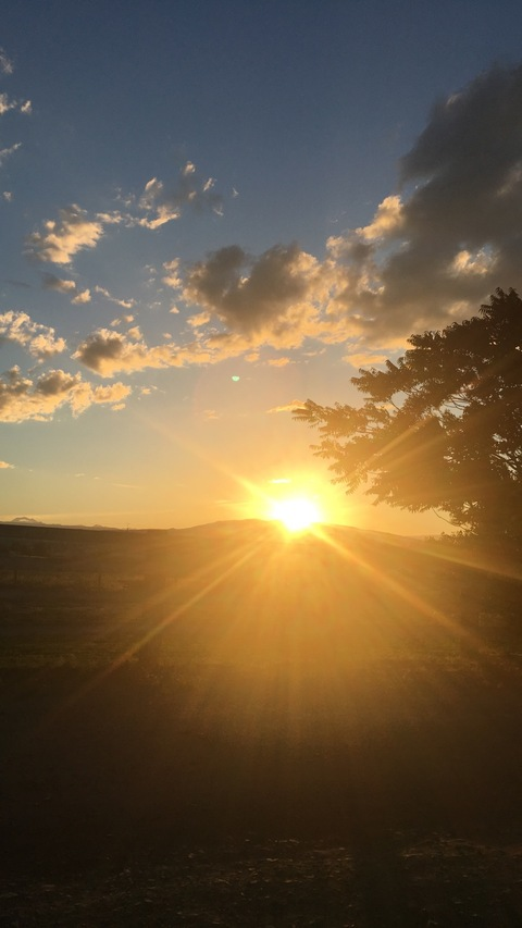 sexywolf2469 OnlyFans - Free Access to 32 Videos & 84 Photos Onlyfans Free Access