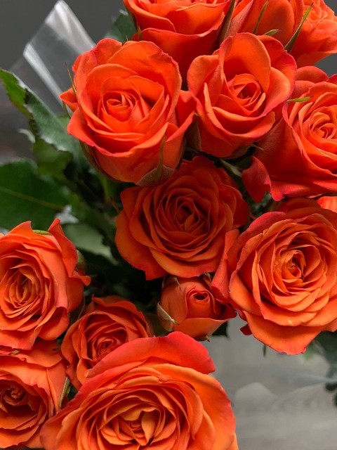 shadynasti OnlyFans - Free Access to 32 Videos & 49 Photos Onlyfans Free Access