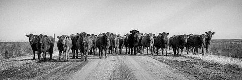 shannabreannnn OnlyFans - Free Access to 32 Videos & 49 Photos Onlyfans Free Access