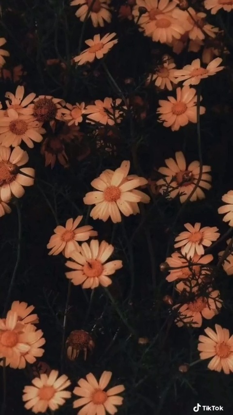 sharpiebaby OnlyFans - Free Access to 32 Videos & 49 Photos Onlyfans Free Access