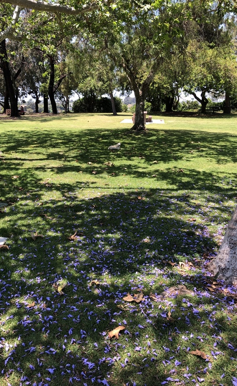 shayna0007 OnlyFans - Free Access to 32 Videos & 62 Photos Onlyfans Free Access