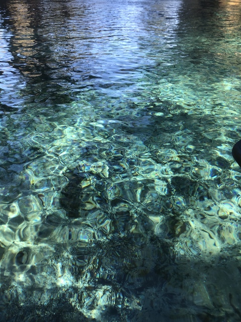 shedoeswhatshewants OnlyFans - Free Access to 32 Videos & 49 Photos Onlyfans Free Access