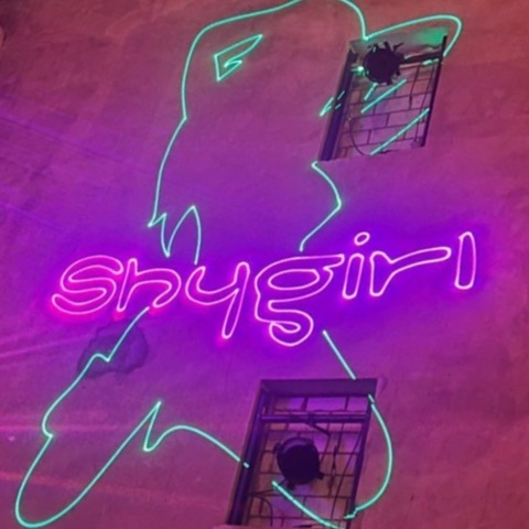 shygirl OnlyFans - Free Access to 32 Videos & 49 Photos Onlyfans Free Access