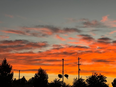 shymomma OnlyFans - Free Access to 79 Videos & 200 Photos Onlyfans Free Access