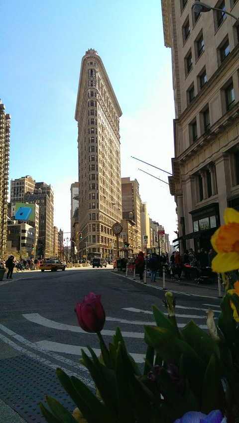 sir_scully OnlyFans - Free Access to 89 Videos & 82 Photos Onlyfans Free Access