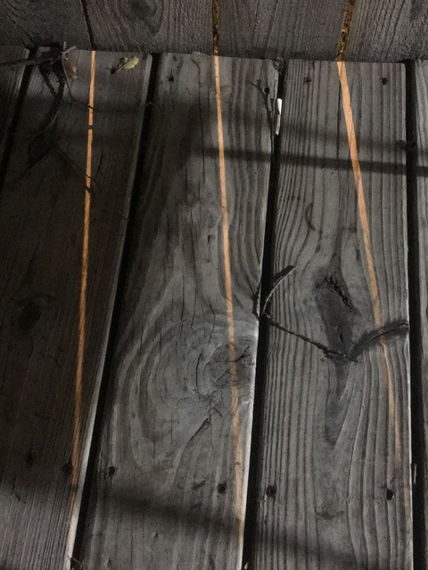 sirensocietytattoo OnlyFans - Free Access to 32 Videos & 49 Photos Onlyfans Free Access