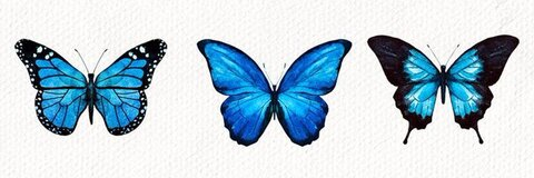 skaiiss OnlyFans - Free Access to 32 Videos & 49 Photos Onlyfans Free Access