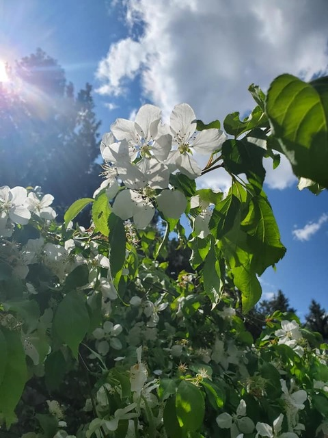 skn1c073 OnlyFans - Free Access to 105 Videos & 750 Photos Onlyfans Free Access